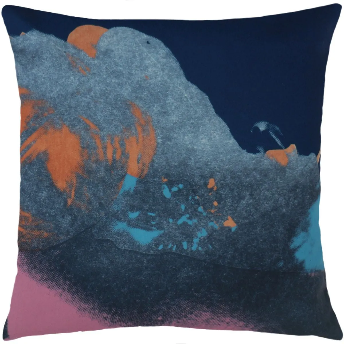 Andy Warhol Art Pillow in Pink & Blue design by Henzel Studio