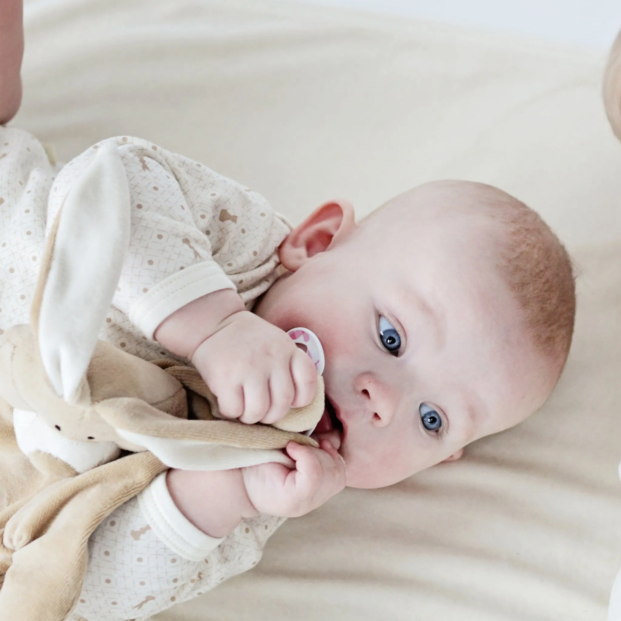 Comforter with dummy holder BUNNY