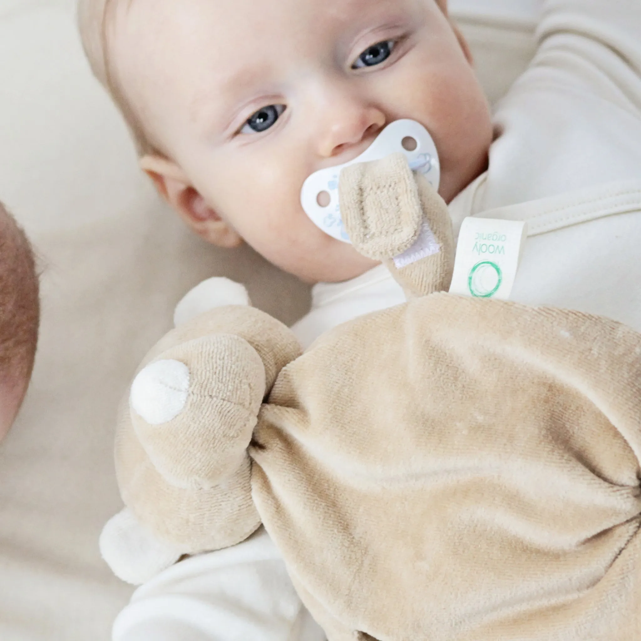 Comforter with dummy holder TEDDY