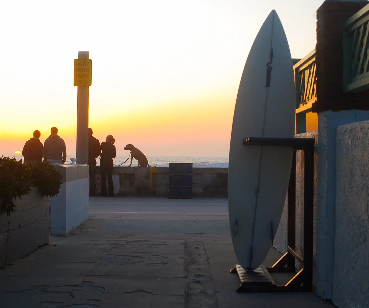 Grassy Surf Rack