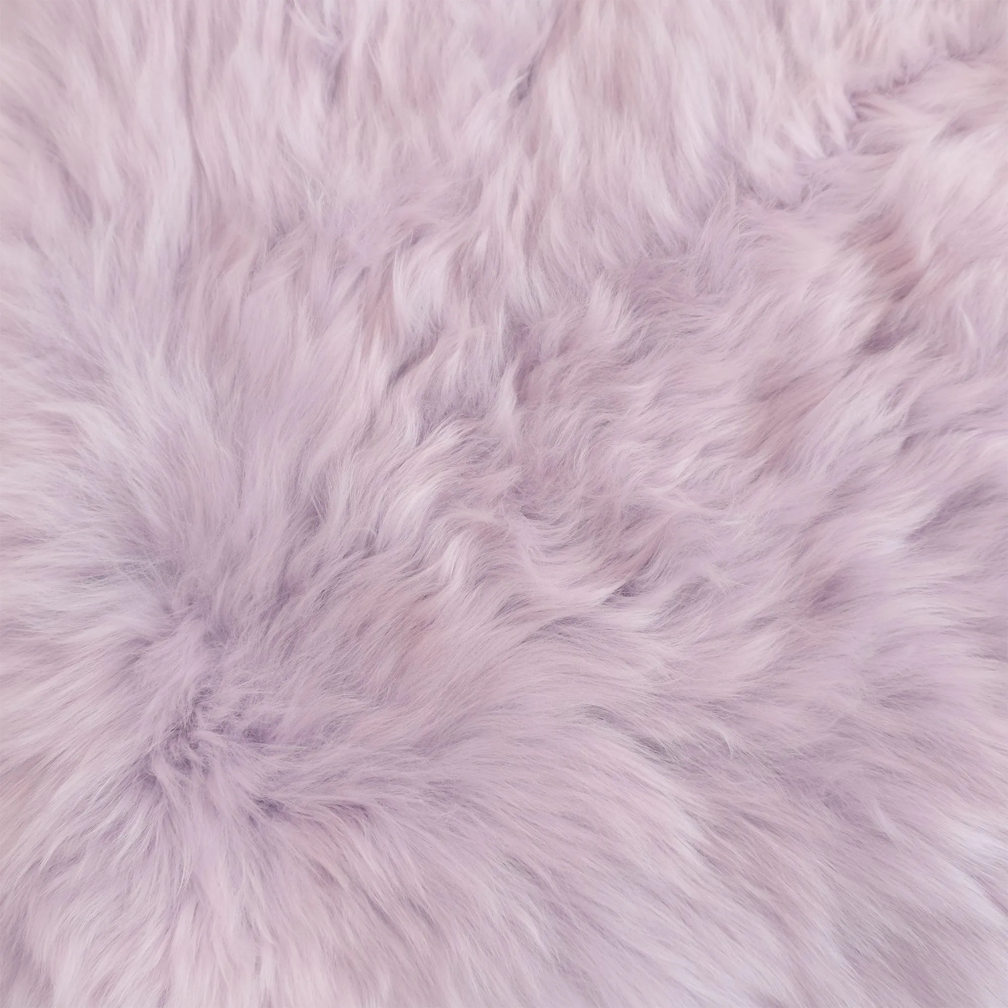 Sheepskin Rug - Lilac (Pink) - XXL - Long Wool Rug Australian Merino Sheepskin