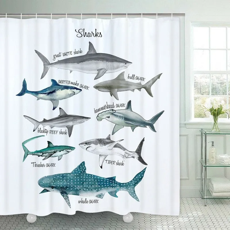 Shower Curtain: Shark Pattern