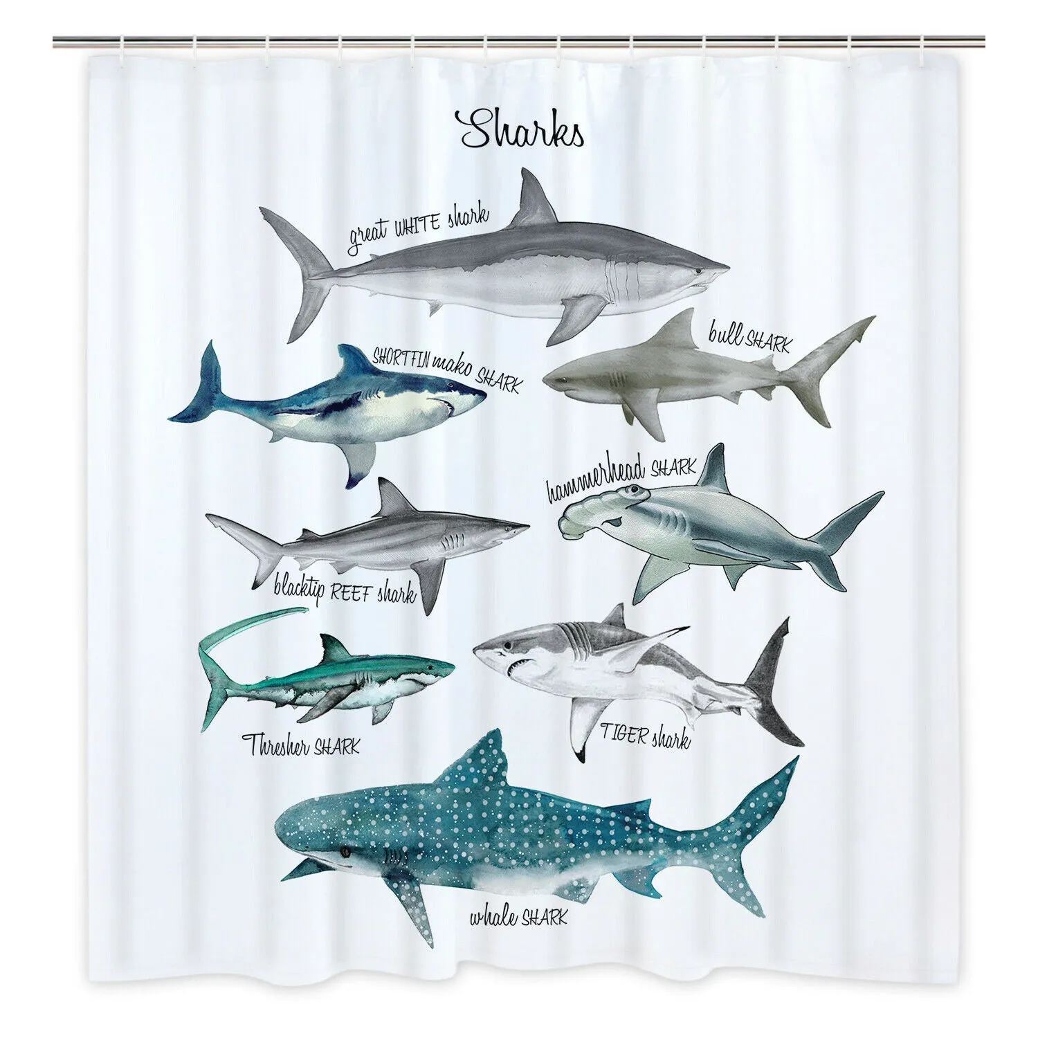 Shower Curtain: Shark Pattern