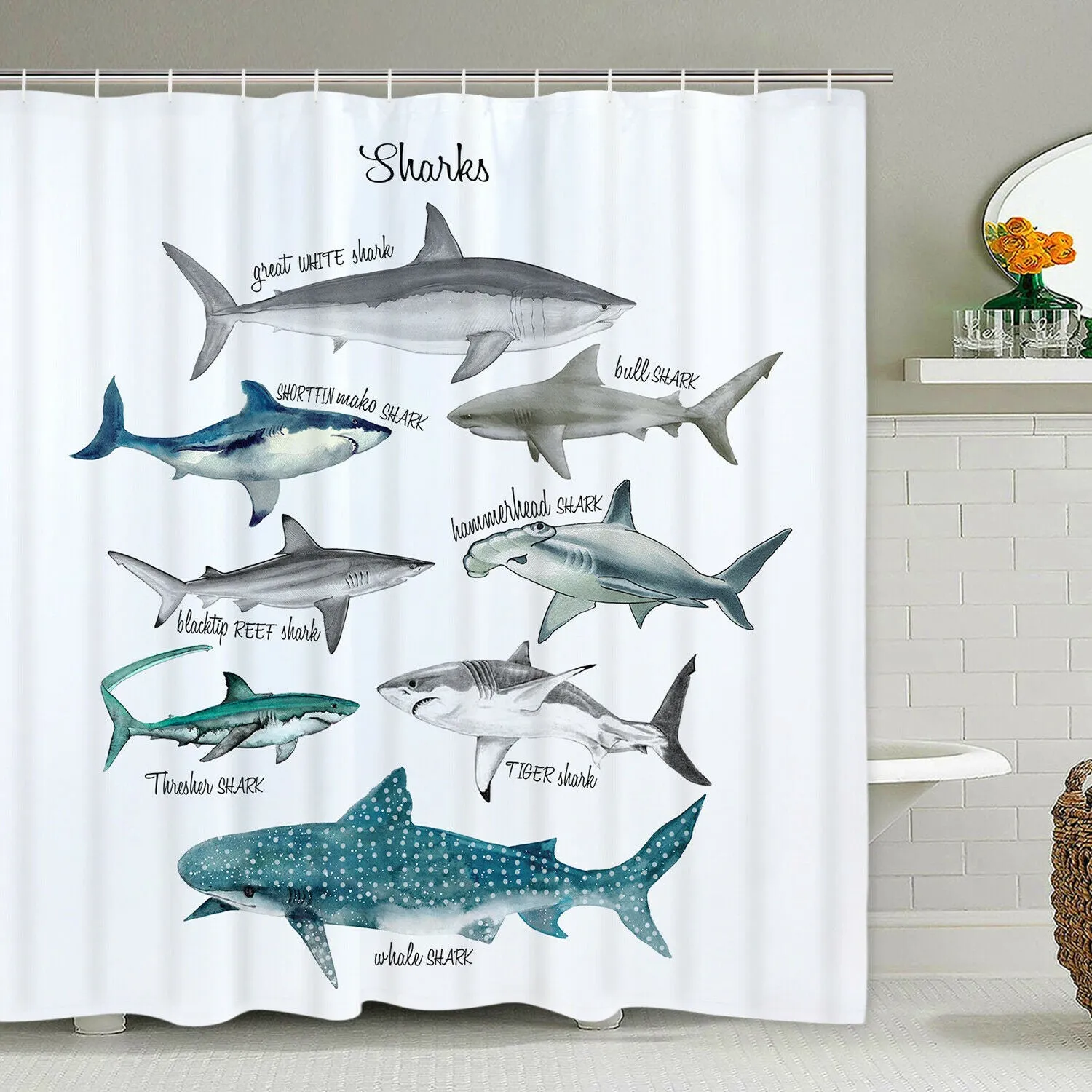 Shower Curtain: Shark Pattern