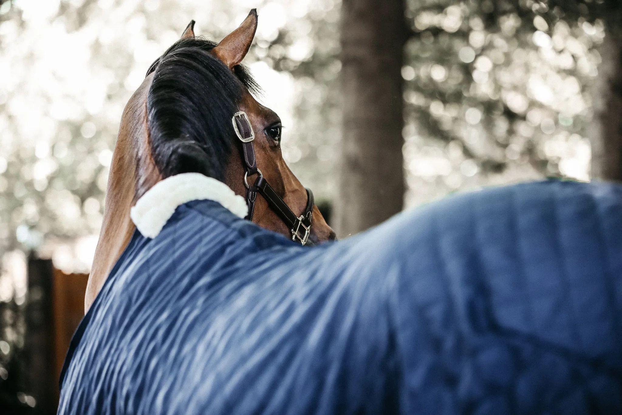 Stable Rug 0g Navy