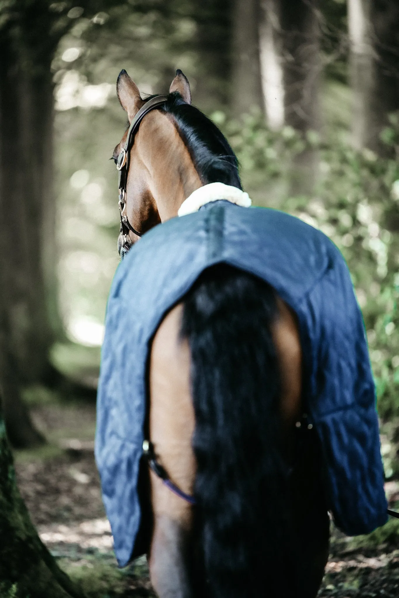 Stable Rug 0g Navy