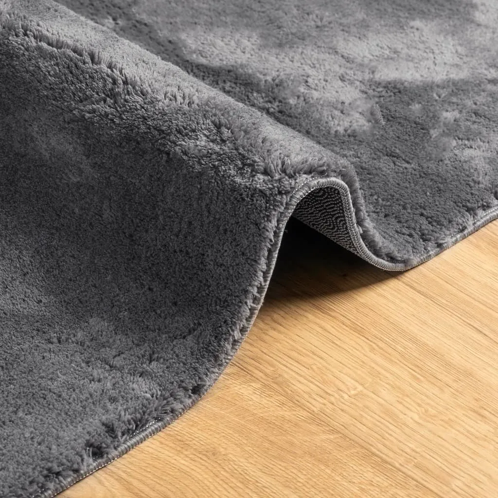 vidaXL HUARTE Short Pile Rug - Soft & Washable Anthracite Rug 80x250 cm | Stylish Modern Fur Look