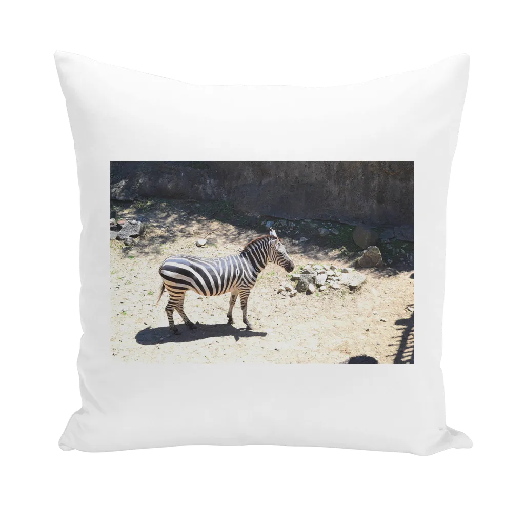 Zebra Throw Pillows