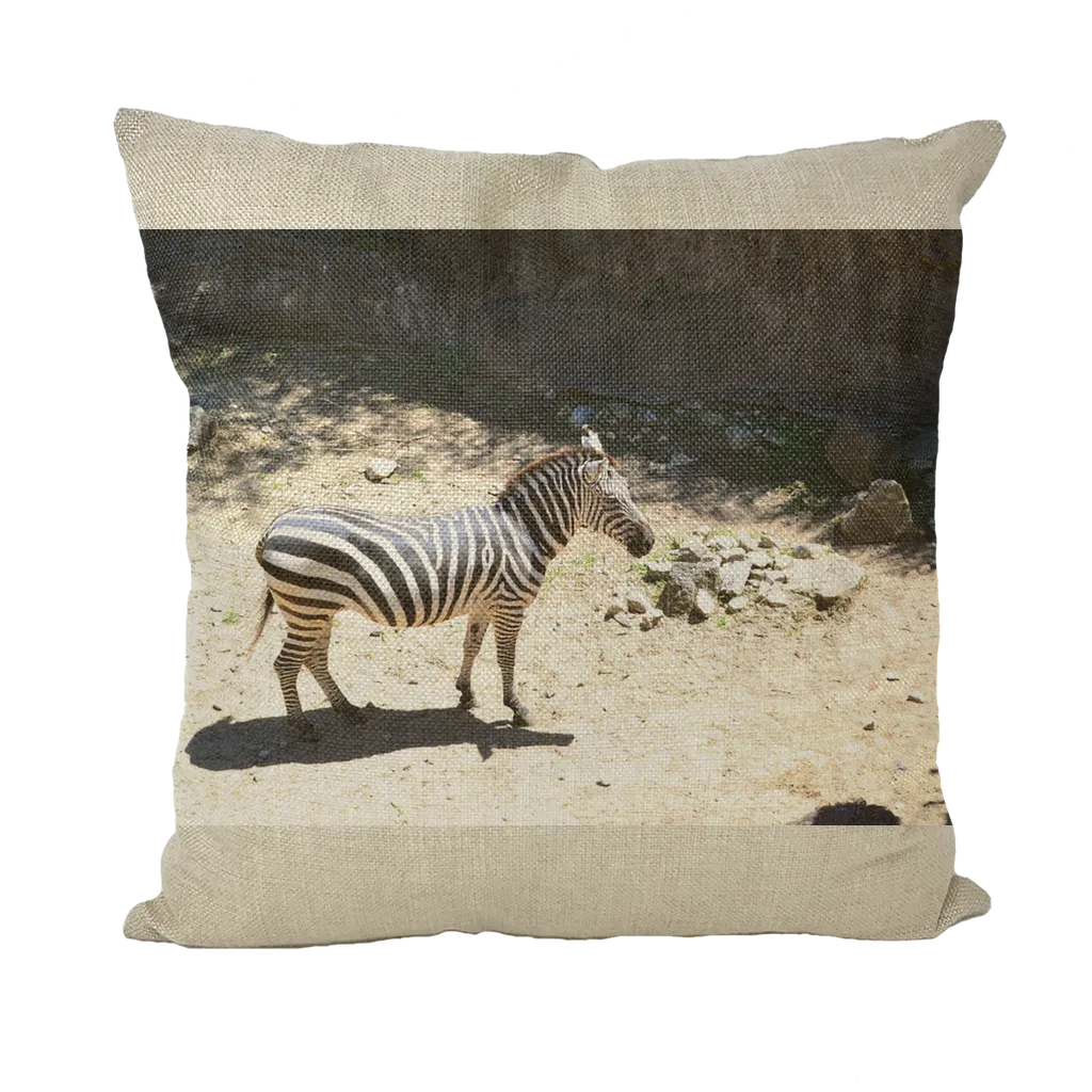 Zebra Throw Pillows